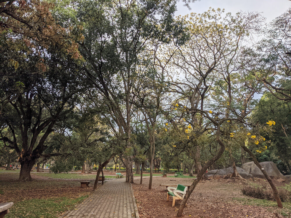Cubbon Park – Bangalore's Eye Candy and My Green Oasis 6 benches cubbon park