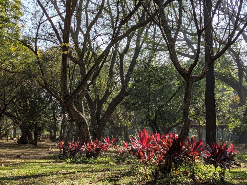 bengaluru cubbon park