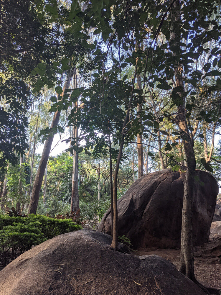 bugle rock park bangalore
