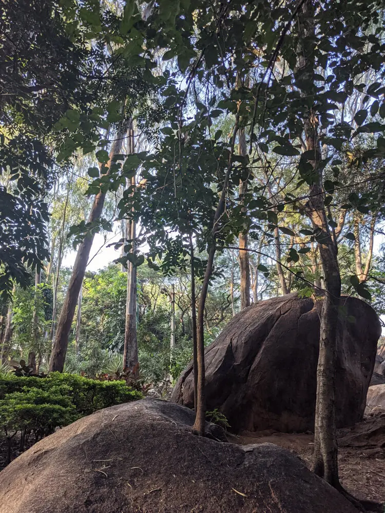 bugle-rock-park-bangalore.webp
