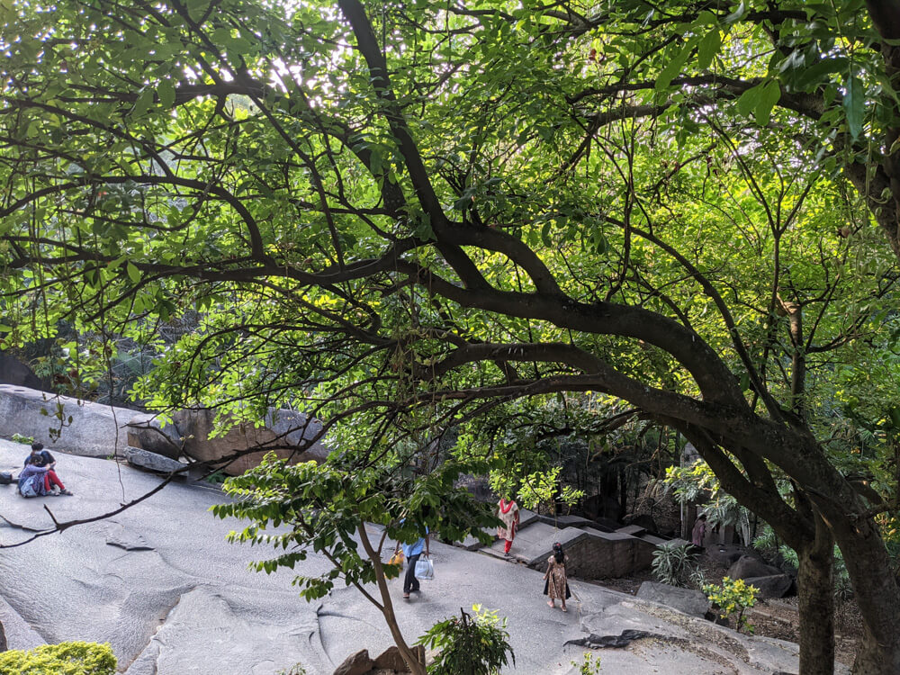bugle rock park basavanagudi bangalore