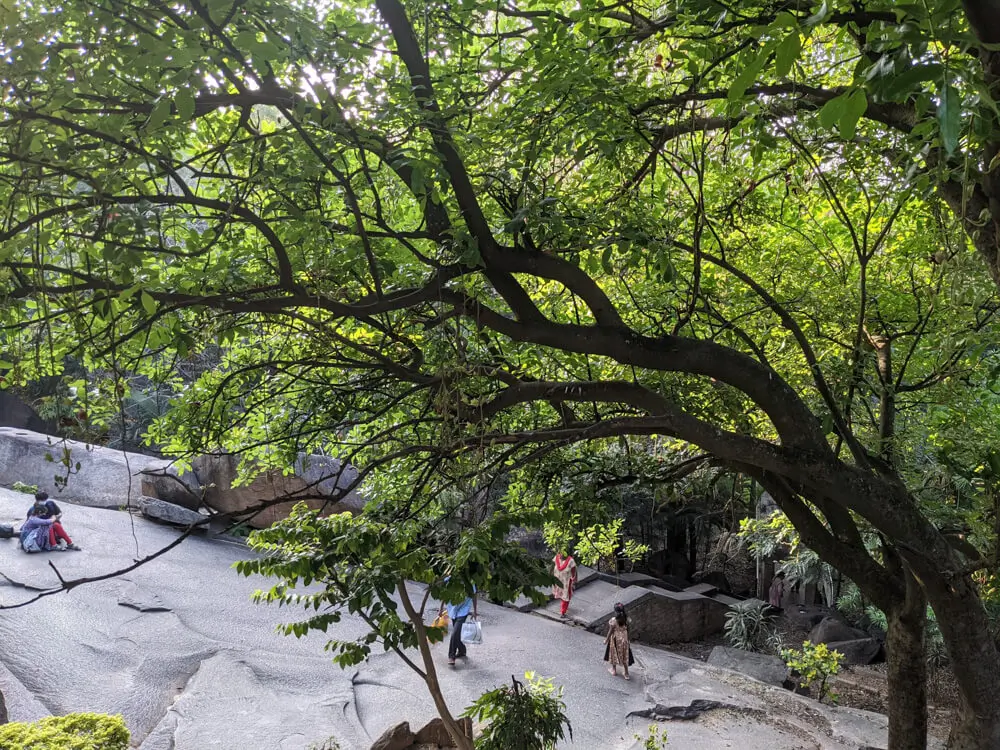 bugle-rock-park-basavanagudi-bangalore.webp
