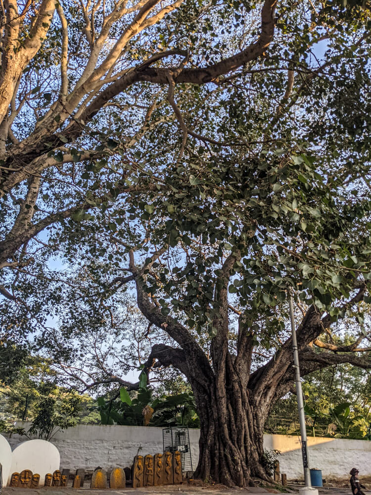 bugle rock park nandi temple.jpg