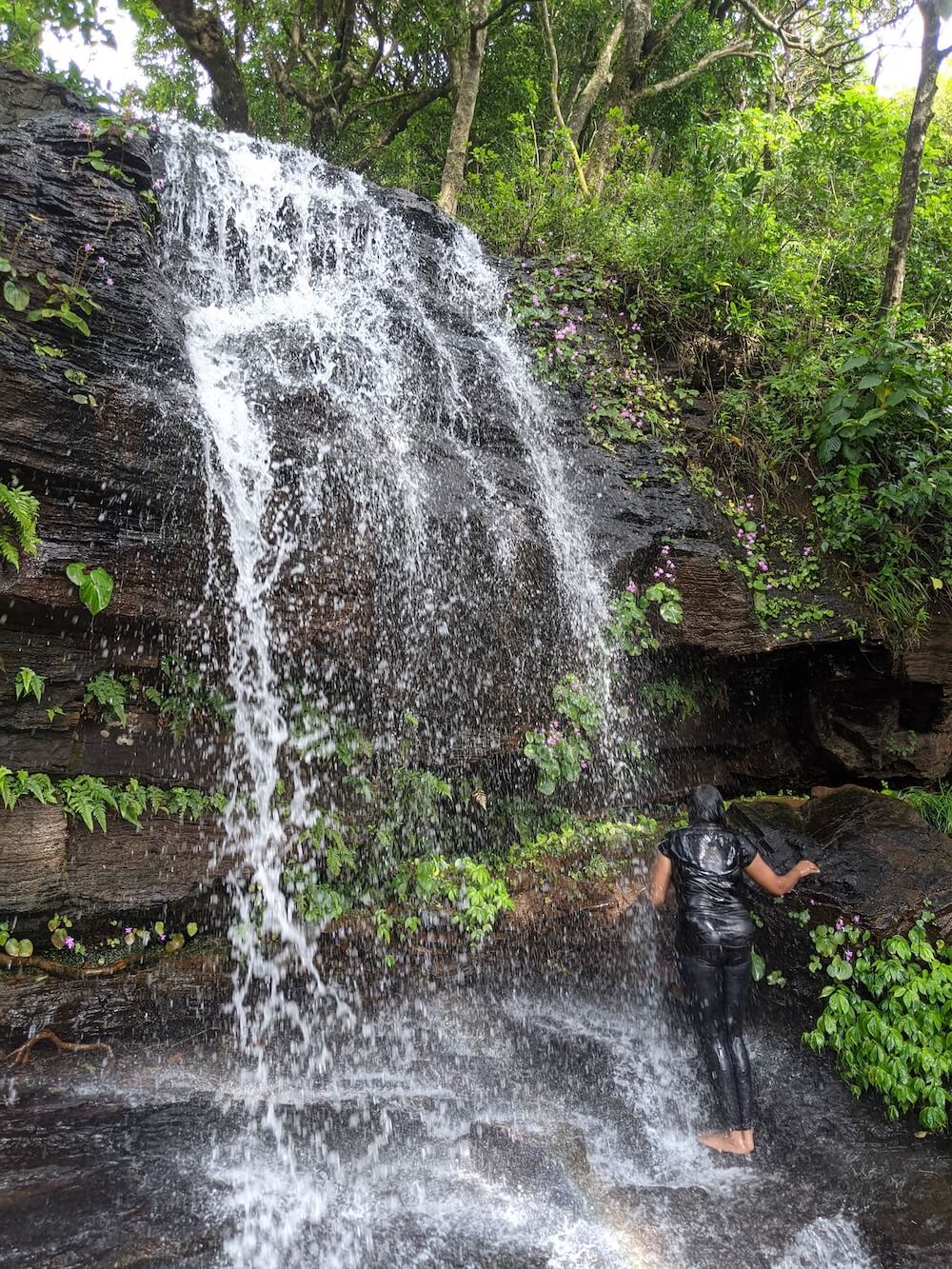 Amazing Karnataka – From Ten Years of Travel 25 chikmagalur-z-point-waterfall.jpeg