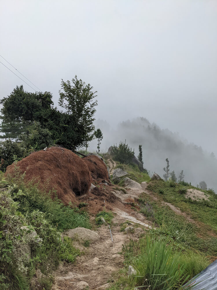We Dared to Hike to Shikari Devi Temple (Mandi Himachal) On Our Own 6 climbing towards sainthal