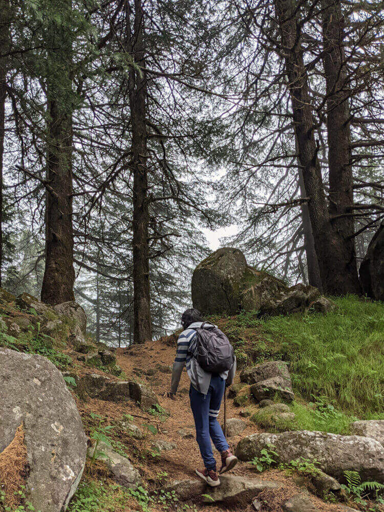 We Dared to Hike to Shikari Devi Temple (Mandi Himachal) On Our Own 30 climbing up