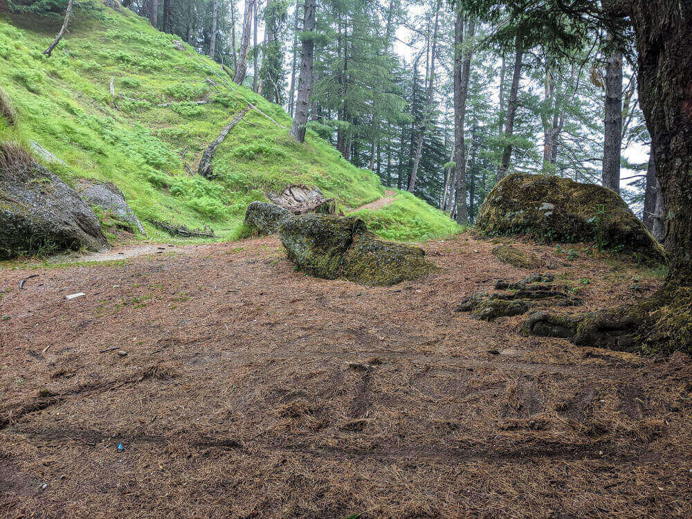 We Dared to Hike to Shikari Devi Temple (Mandi Himachal) On Our Own 28 directions