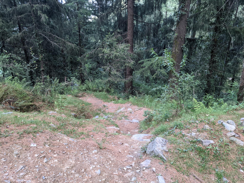 downwards-path-to-shivpur-temple-mashobra.jpg