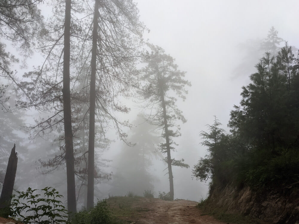 We Dared to Hike to Shikari Devi Temple (Mandi Himachal) On Our Own 72 everything becomign invisible
