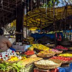 flowers sold in basavanagudi bangalore feature