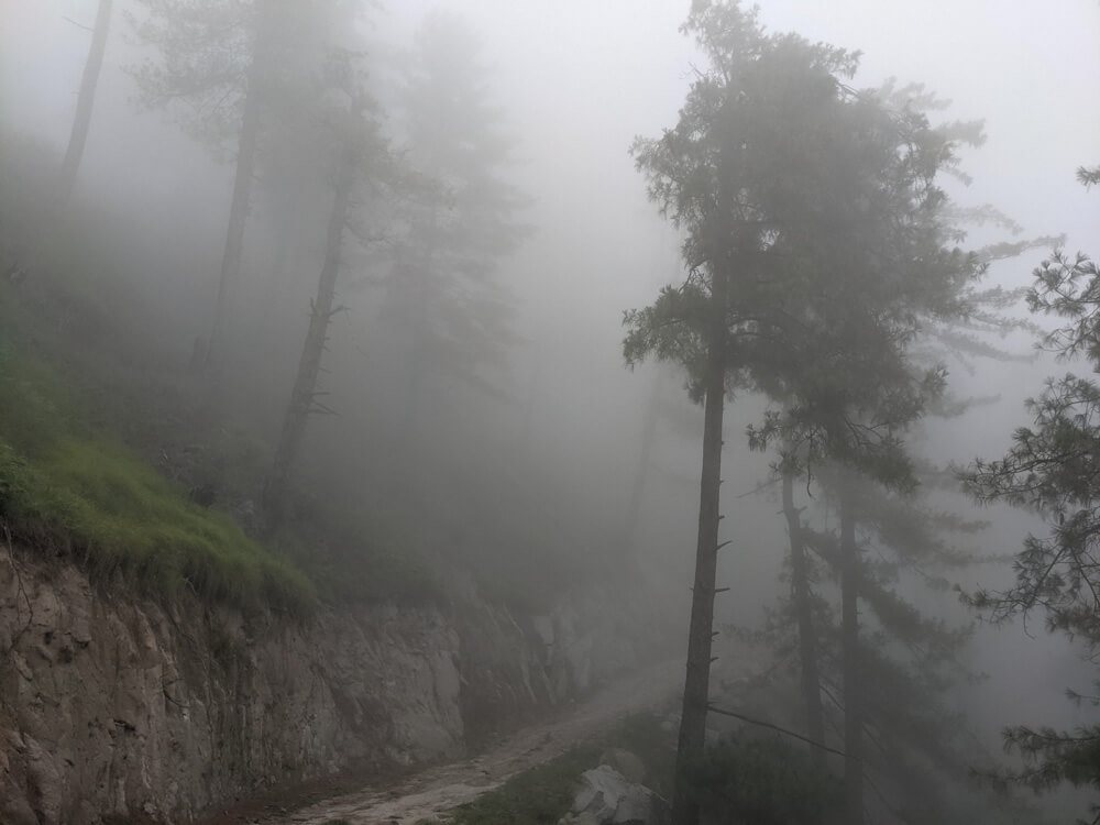 We Dared to Hike to Shikari Devi Temple (Mandi Himachal) On Our Own 13 foggy path to shikari devi temple