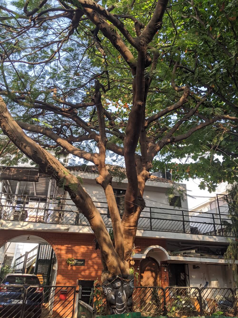 Amazing Karnataka – From Ten Years of Travel 11 1 / 2 – ganesh on tree in bangalore.jpeg