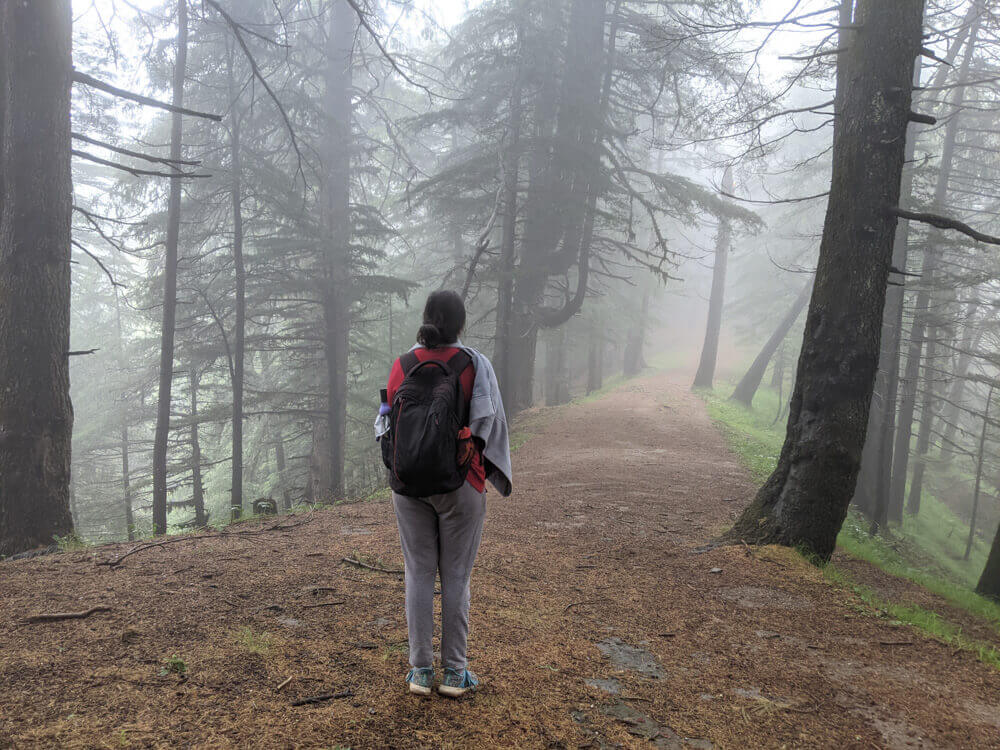 hiking in shikari devi sanctuary mandi himachal