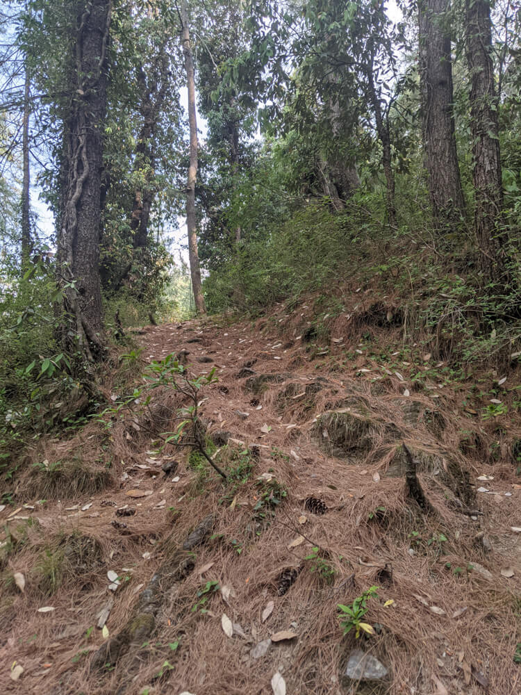 hiking trails in mashobra