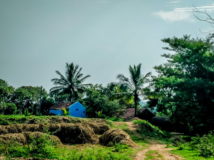 Amazing Karnataka – From Ten Years of Travel 23 houses-in-Bettamugilalam.jpeg