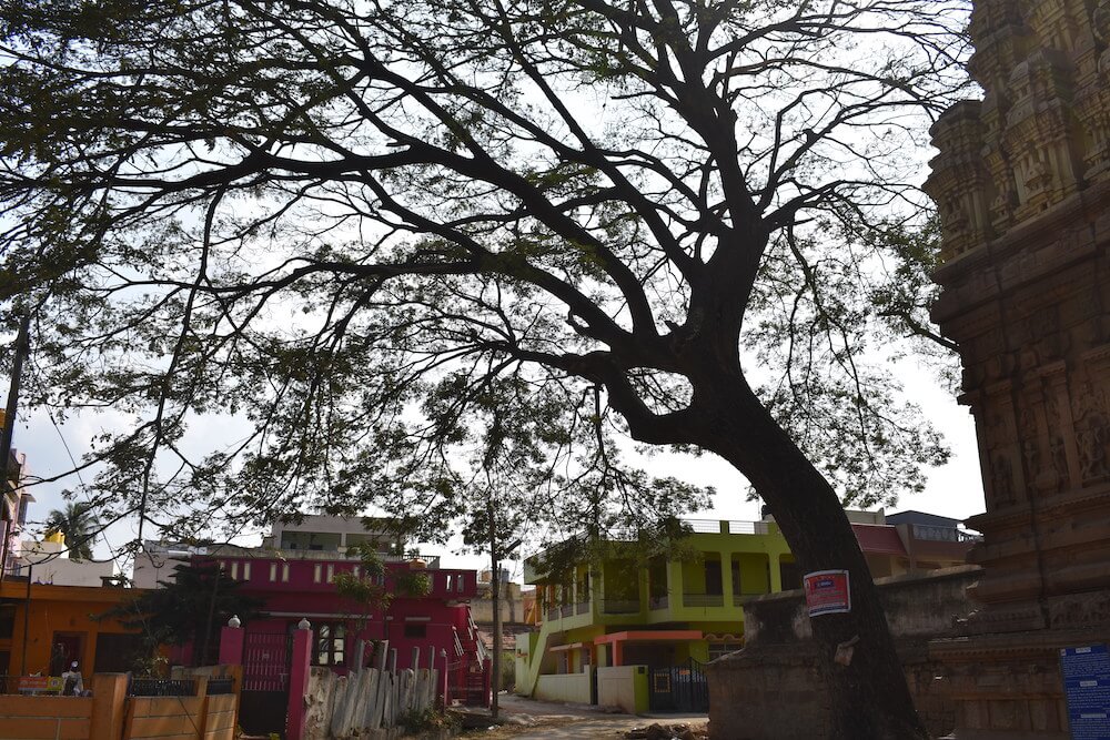 Amazing Karnataka – From Ten Years of Travel 39 kolar-town-and-temples.jpeg