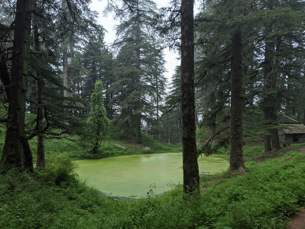 We Dared to Hike to Shikari Devi Temple (Mandi Himachal) On Our Own 26 lake near shiv dera