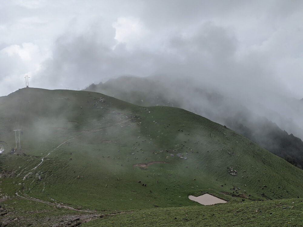 We Dared to Hike to Shikari Devi Temple (Mandi Himachal) On Our Own 45 lots of cattle and horses grazing around shikari hills