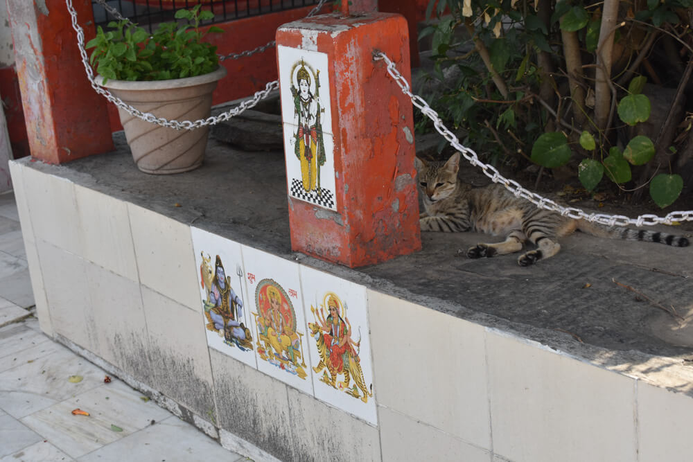 mahamaya temple shrine pangan karsog mandi