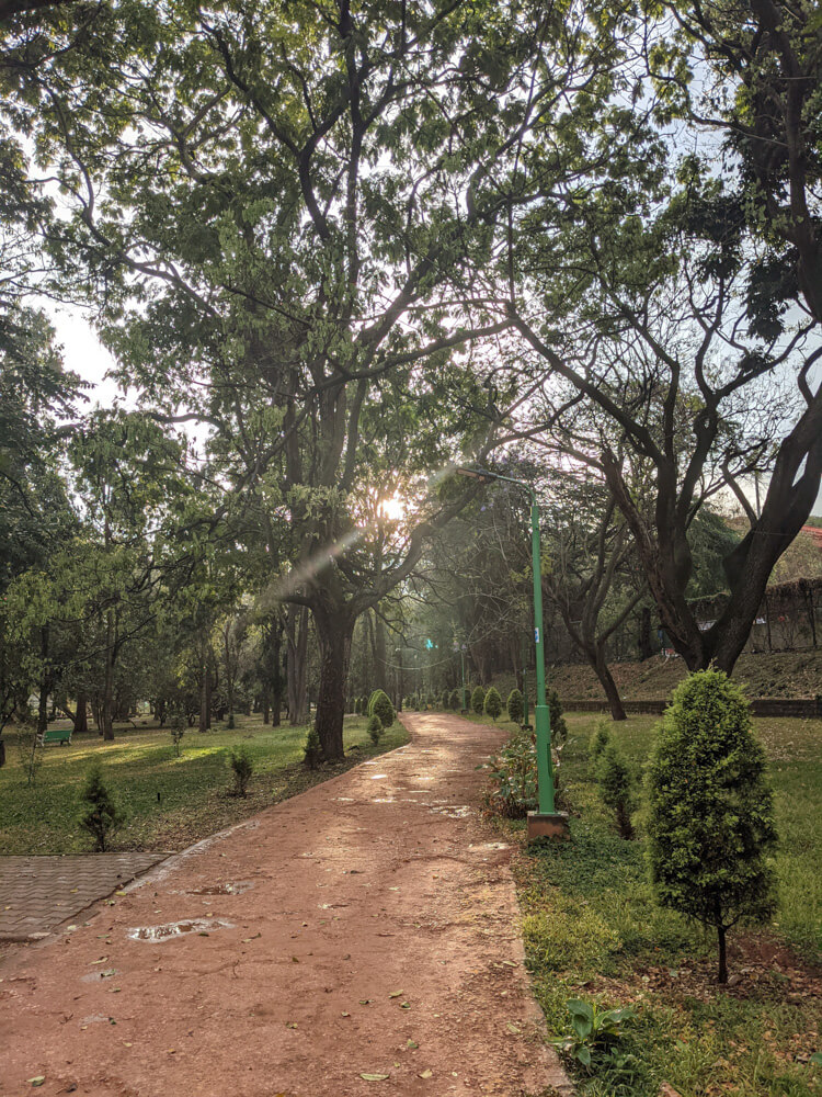 Cubbon Park – Bangalore's Eye Candy and My Green Oasis 26 mud pathways cubbon
