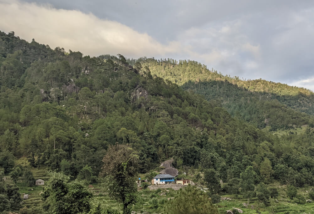 old houses and paddy fields in karsog valley