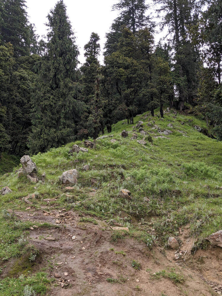 one uphill climb on the way to shikari devi temple from chindi karsog