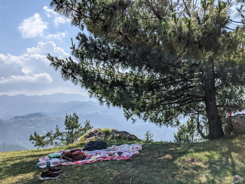 Sunny Picnic at Kanag Devi Temple, Theog (Shimla) – Pastures in Obscurity 15 our abode under the trees