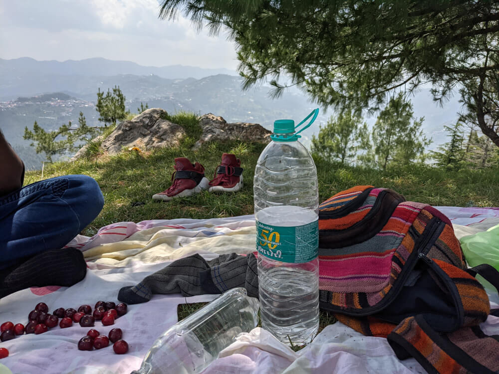 Sunny Picnic at Kanag Devi Temple, Theog (Shimla) – Pastures in Obscurity 16 our picnic spot on kanag hill