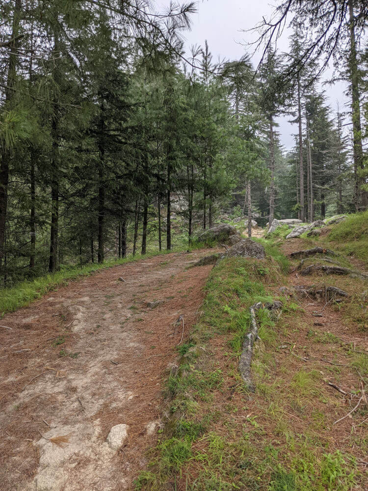 We Dared to Hike to Shikari Devi Temple (Mandi Himachal) On Our Own 22 path can be this wide too