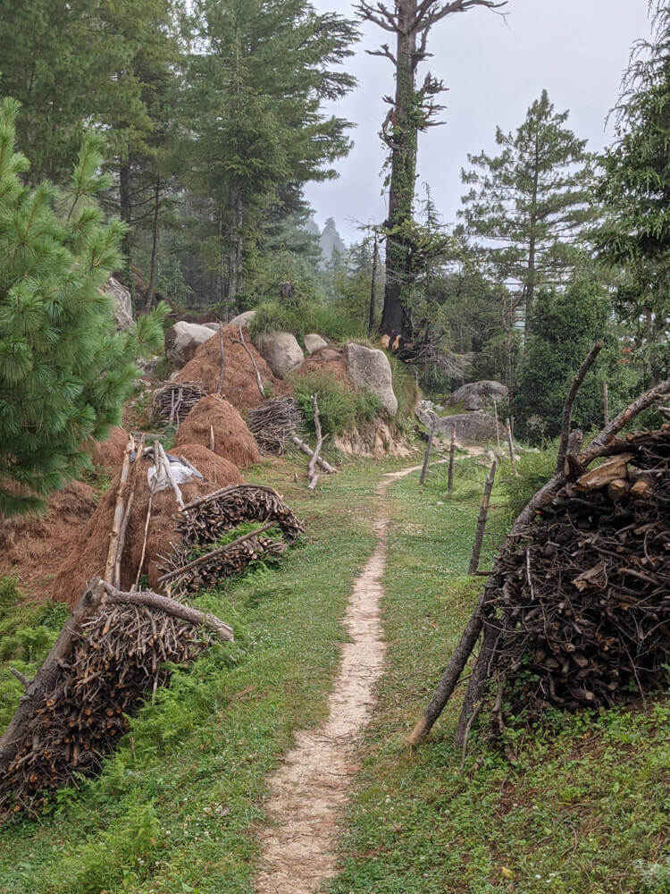 We Dared to Hike to Shikari Devi Temple (Mandi Himachal) On Our Own 14 path through sainthal