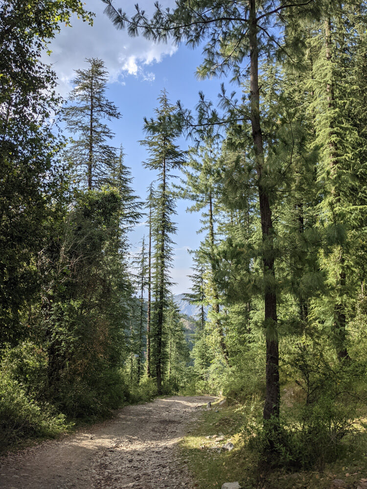 paths around temples