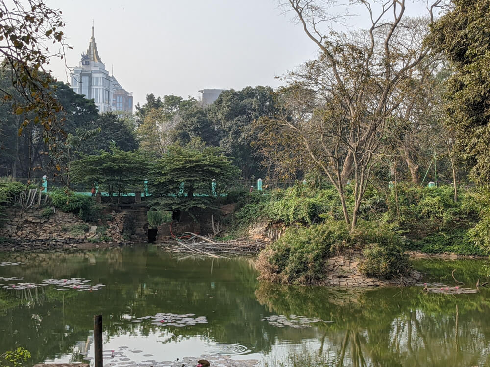 Cubbon Park – Bangalore's Eye Candy and My Green Oasis 29 pond in cubbon park