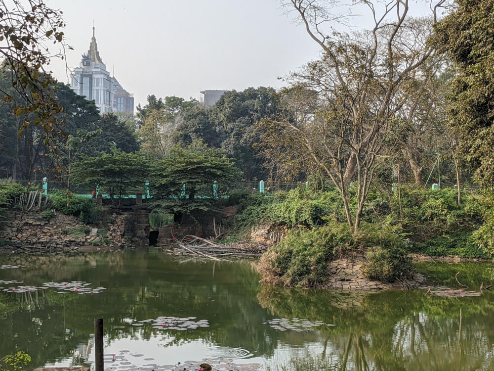 pond in cubbon park