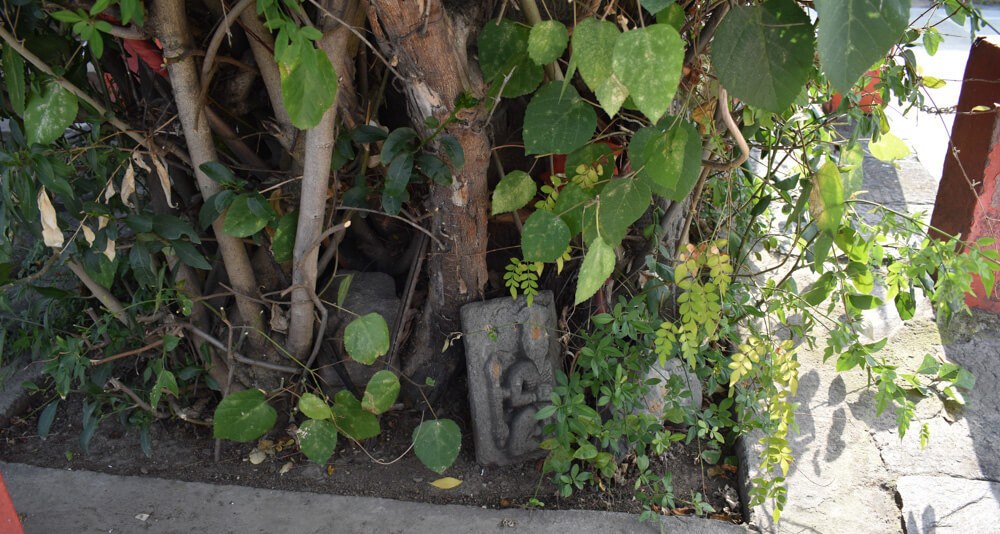 relics kept under village tree