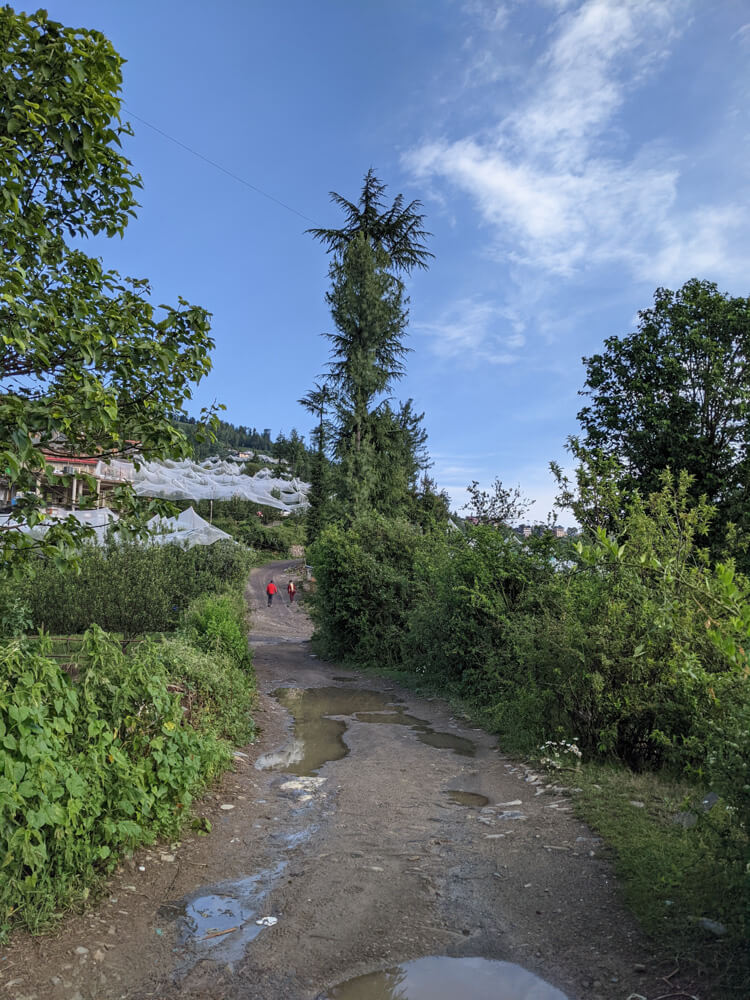 Sunny Picnic at Kanag Devi Temple, Theog (Shimla) – Pastures in Obscurity 3 road in front of Fagu guesthouse