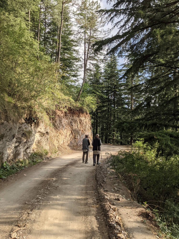 Sunny Picnic at Kanag Devi Temple, Theog (Shimla) – Pastures in Obscurity 4 road to sarion