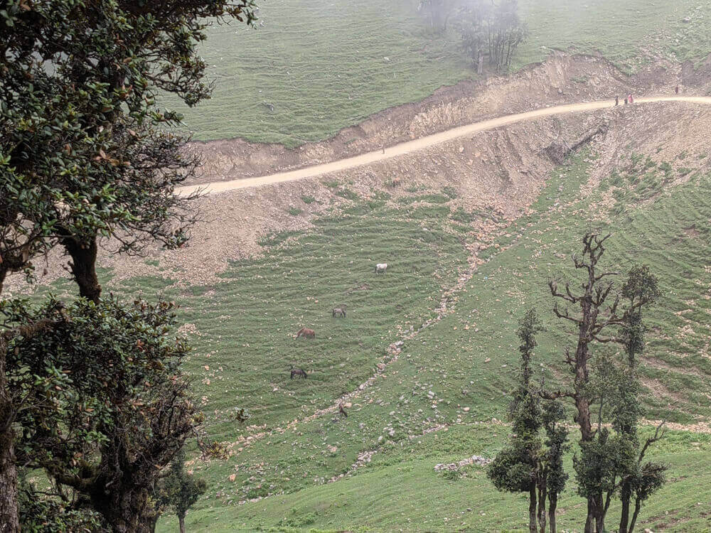 road to shikari temple