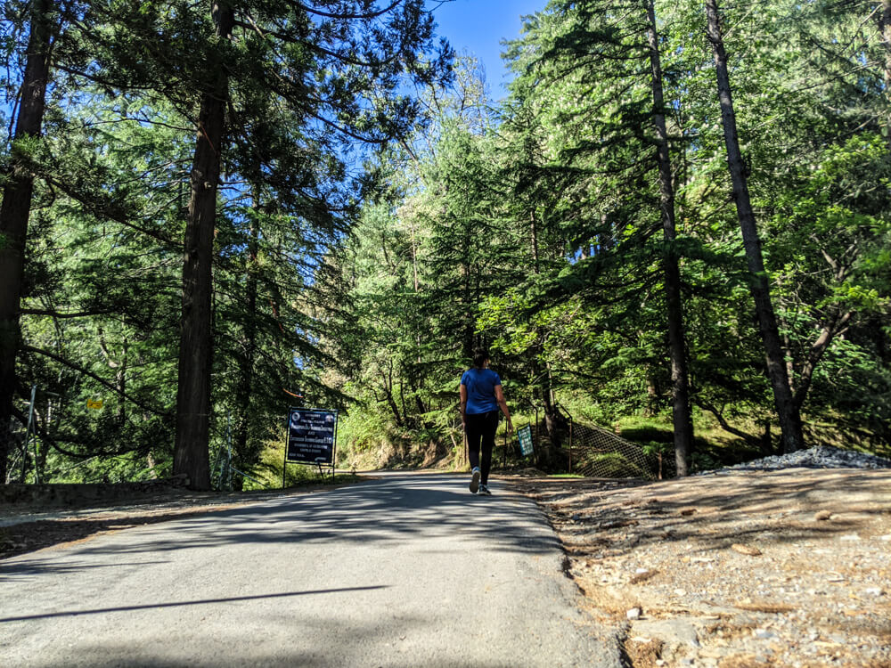 roads of mashobra shimla