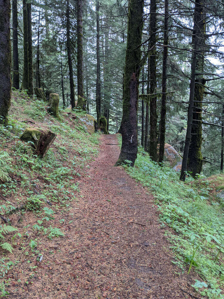 We Dared to Hike to Shikari Devi Temple (Mandi Himachal) On Our Own 69 shikari temple paths