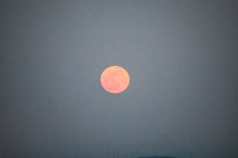 super flower blood moon May 2021 from Himachal Mashobra Shimla.jpg