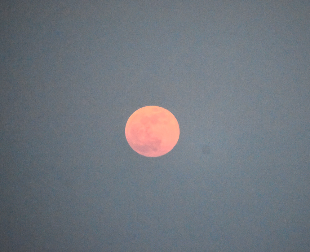 Admiring the Super Flower Blood Moon From Mashobra, Himachal Pradesh