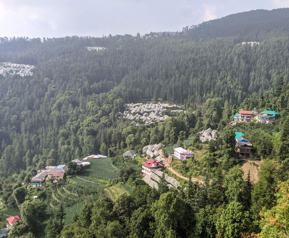 terraced fields himachal pradesh