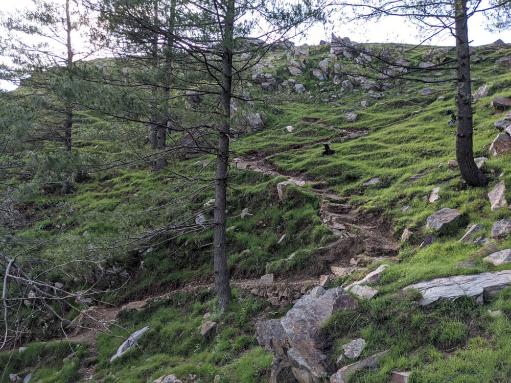 Sunny Picnic at Kanag Devi Temple, Theog (Shimla) – Pastures in Obscurity 6 paths