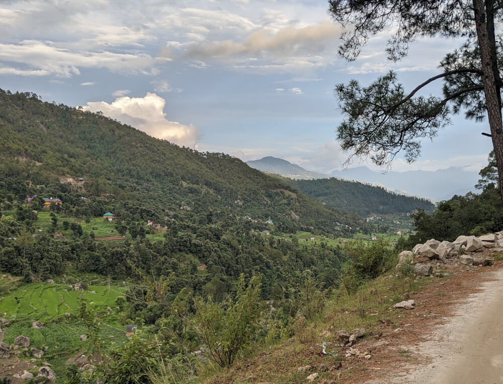 We Dared to Hike to Shikari Devi Temple (Mandi Himachal) On Our Own 78 the road from dharwad village towards sanarli