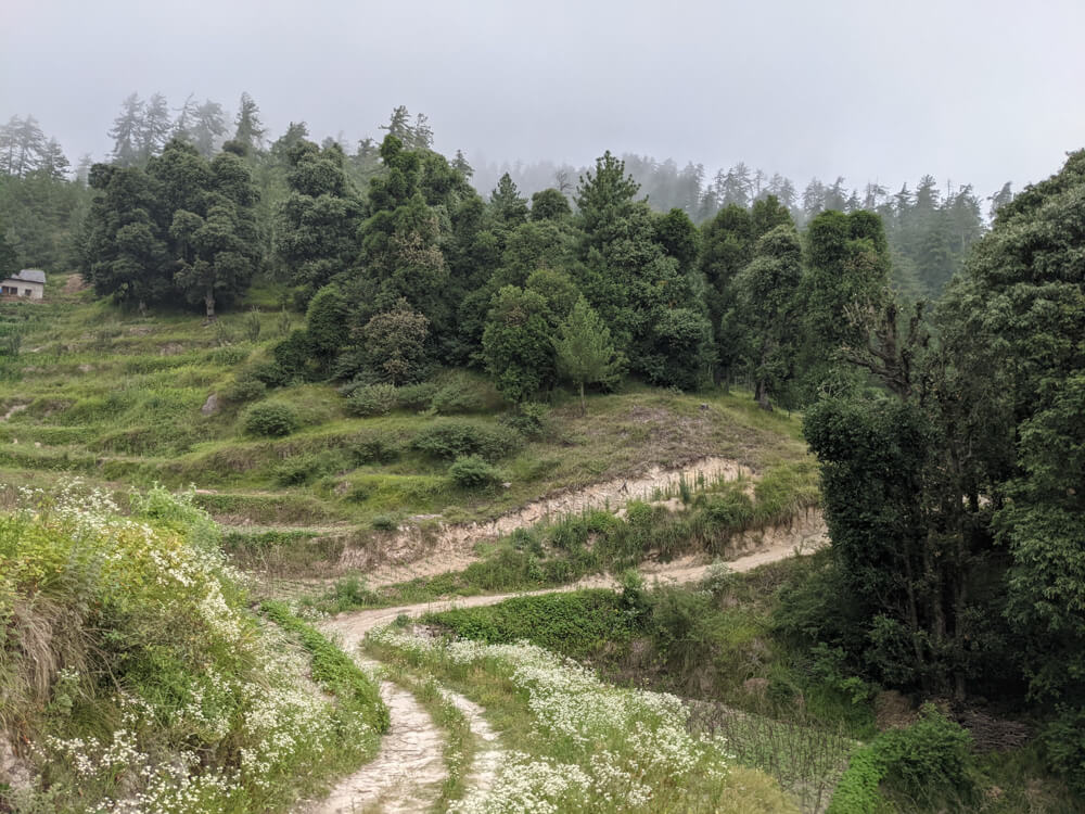 We Dared to Hike to Shikari Devi Temple (Mandi Himachal) On Our Own 12 trail from bakhrot
