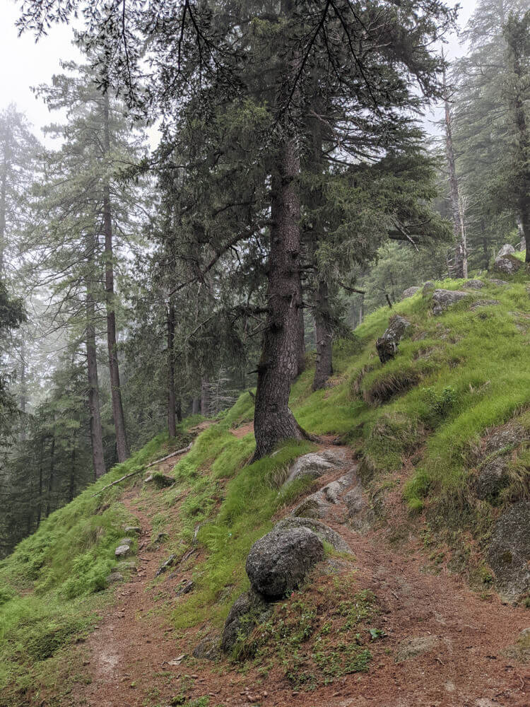 We Dared to Hike to Shikari Devi Temple (Mandi Himachal) On Our Own 5 trails