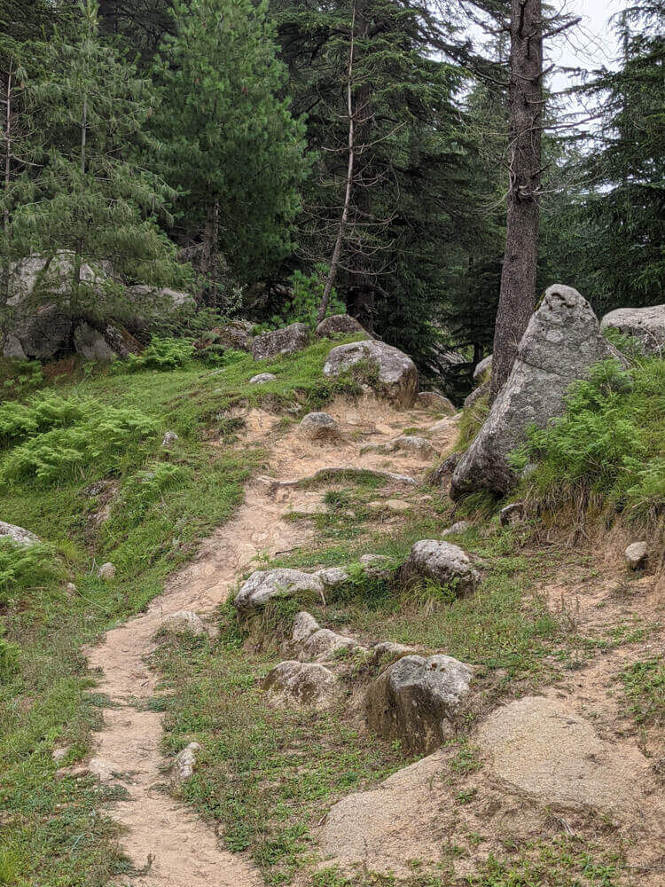 We Dared to Hike to Shikari Devi Temple (Mandi Himachal) On Our Own 21 upwards trail