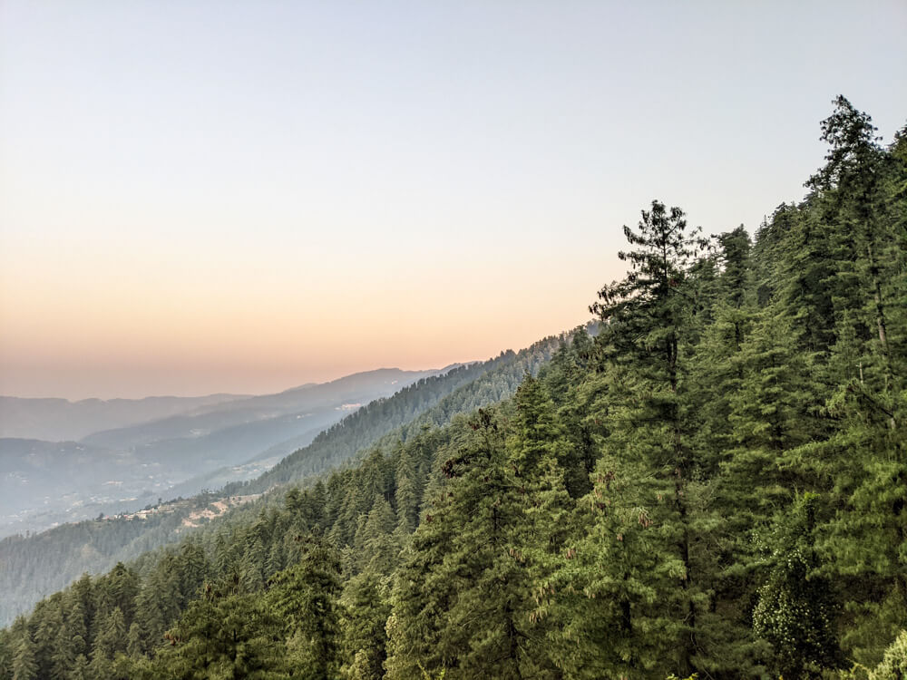 An Itinerant Writer’s Life in Mashobra, Shimla (Along With Things To Do) 19 views from Mashobra