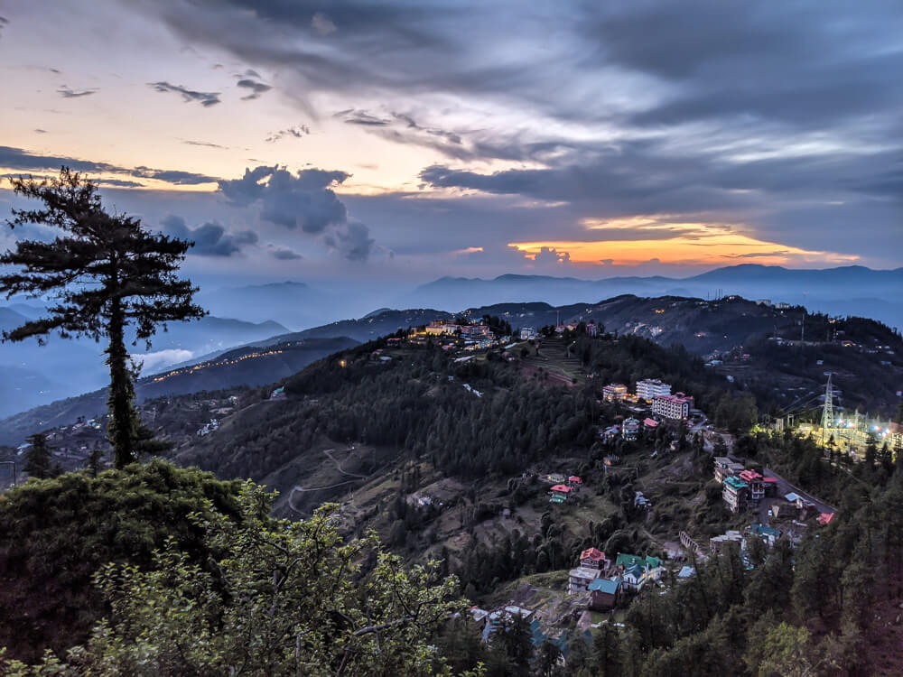 An Itinerant Writer’s Life in Mashobra, Shimla (Along With Things To Do) 32 views on walks in mashobra jungle