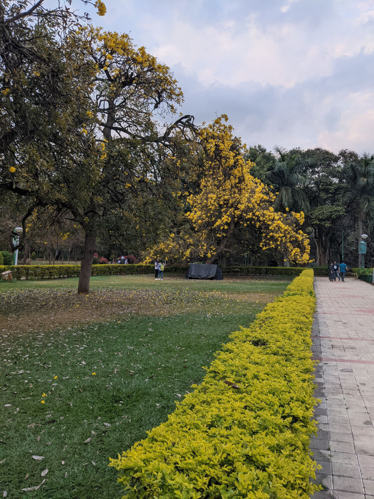 walkway cubbon park blr